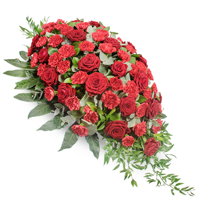Photographed on a pristine white background, this substantial sympathy spray reveals its classic beauty with clarity and poise. The arrangement is shaped in a sweeping, diagonal teardrop, full and rounded at the upper left where the flowers are richest, then gradually narrowing and tapering to a delicate point at the lower right. The central focus is a generous cluster of deep red roses, fully open and at their prime, each blossom composed of layered, velvety petals that curve outwards in perfect spirals. Interwoven with the roses are clusters of red spray carnations and standard carnations, their ruffled, fringed petals giving a softer, slightly textured feel. Together, these red blooms create a harmonious blend of dark and bright crimson, symbolizing both solemn remembrance and warm affection. Encircling and supporting the flowers is a thick collar of mixed foliage. Broad, dark green leaves provide a strong foundation and define the silhouette of the spray, while rounded eucalyptus leaves in silvery-green tones slip between the flowers and leaves, adding a gentle, cool contrast. Towards the lower right, fine strands of trailing greenery, reminiscent of ruscus, extend outward and downward, contributing to the cascading quality of the design and softening the overall outline. The understated lighting ensures there are no harsh shadows, instead emphasising the natural sheen of the foliage and the velvety texture of the petals. This is the sort of thoughtfully arranged casket spray that might be chosen by families in Stanmore, suitable for resting atop a coffin during a final journey or placed at the front of a chapel or crematorium as a dignified expression of love, respect, and farewell.