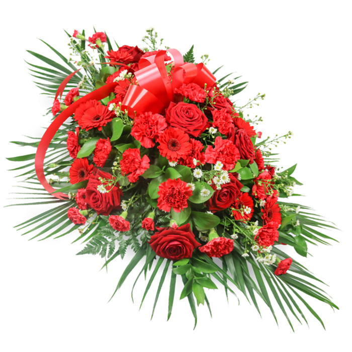 A richly detailed red funeral spray lies against a luminous white background, its elongated, one-sided form suggesting it has been thoughtfully designed to rest along a casket or as a central tribute in a Stanmore service. The central focus of the arrangement is a generous cluster of deep red roses, whose velvety petals range from tightly wound buds to fully open blooms, creating a sense of movement from promise to completion. Each rose appears carefully placed so that their rounded heads nestle closely together, forming a dense, luxurious heart to the design. Surrounding and weaving between the roses, an abundance of red carnations adds volume and softness; their ruffled edges lend a feathery texture, while slight variations in crimson tones bring subtle depth. Punctuating this sea of red are bold red gerbera daisies; their wide, flat faces and darker, disk-like centres stand out from the surrounding petals, adding modern structure and visual interest. Scattered delicately through the composition are tiny white blossoms, perhaps baby's breath or petite chrysanthemum sprays, which sparkle against the red like small points of light, hinting at purity and remembrance. A wide red satin ribbon forms a graceful bow near the top centre, the loops full and rounded, while long trailing ends cascade down into the flowers and foliage, giving the impression of a tender embrace. Framing the entire piece, long, curved palm fronds splay outward, defining the spray's length and direction, and shorter, darker green leaves are layered beneath the blooms to create a lush, grounded base. The combination of deep reds and rich greenery echoes the calm strength of Stanmore's tree-lined streets and open spaces, and the spray as a whole feels like a composed, heartfelt farewell from family and friends, crafted with care and dignity by experienced local florists.