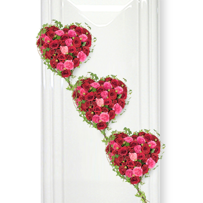 In the scene, three heart-shaped arrangements of roses form a striking vertical tribute, angled gently so they appear to drift from the upper left corner toward the lower right over a bright white background. The hearts are lavishly filled with roses in tones that range from deep, velvety crimson to vivid fuchsia and soft, romantic pink, each bloom placed so close to the next that the petals seem to melt into one another. This density of flowers creates a plush, almost quilted surface, with light catching the subtle curves and ruffles of each rose. The variety in bloom stage-some buds still tight, others just unfolding, and some fully open-adds a quiet sense of time and continuity, echoing the way a lifetime of memories unfolds. Surrounding each heart, thin ivy stems wind in gentle arcs, outlining the shapes with a fine green border before dropping gracefully to connect to the heart below. The ivy's small, glossy leaves lend freshness and a hint of woodland calm to the otherwise richly coloured display. The pure white backdrop, like a carefully prepared display board in a Stanmore funeral chapel near Canons Corner or along Marsh Lane, ensures no distractions from the flowers themselves, while soft, even lighting keeps the composition serene and balanced. This image evokes the feeling of a carefully considered funeral tribute, perhaps commissioned by a close-knit Stanmore family wishing to honour a loved one whose life was filled with warmth, loyalty, and love. The three hearts together can suggest the closeness of family, the stages of life, or simply a powerful, layered message of remembrance, gratitude, and enduring affection.