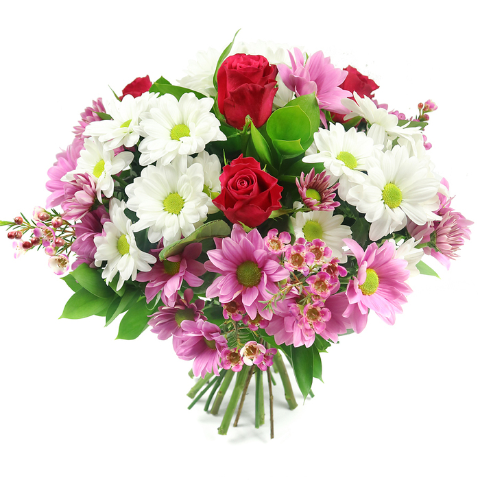 This hand-tied bouquet, photographed against a pristine white background, shows a carefully balanced round arrangement that could easily be sitting in the window of a Stanmore florist. At its centre, two sumptuous, deep red roses draw the eye, their petals tightly furled in rich spirals that speak of passion, commitment, and timeless elegance. Surrounding them, a generous scattering of white daisy-like chrysanthemums forms a bright, uplifting ring, each flower perfectly open and defined by a vivid lime-green centre that adds a playful, contemporary twist. Interspersed between the whites are numerous daisy-style blossoms in shades of light to mid pink, each with the same clear green eyes, creating a rhythmic pattern of colour that moves gently across the bouquet. Delicate clusters of pale pink waxflower are tucked throughout, their tiny star-shaped blooms and slender stems adding lightness and intricate detail, especially towards the outer edges where they soften the silhouette. Lush foliage in deep, glossy greens and fresher, lighter tones frames the flowers and gives the arrangement structure, suggesting freshly cut stems prepared for same-day delivery around Stanmore and nearby streets such as The Broadway. The stems at the base are neatly aligned and bound, clearly showing the craftsmanship of a professional hand-tied design. Soft, even lighting casts minimal shadow, allowing the reds, whites, pinks, and greens to appear vivid yet natural. Overall, the bouquet conveys a feeling of joyful celebration and heartfelt care, ideal as a centrepiece for a family gathering in Stanmore, a birthday surprise, or a graceful gesture of appreciation for someone special.