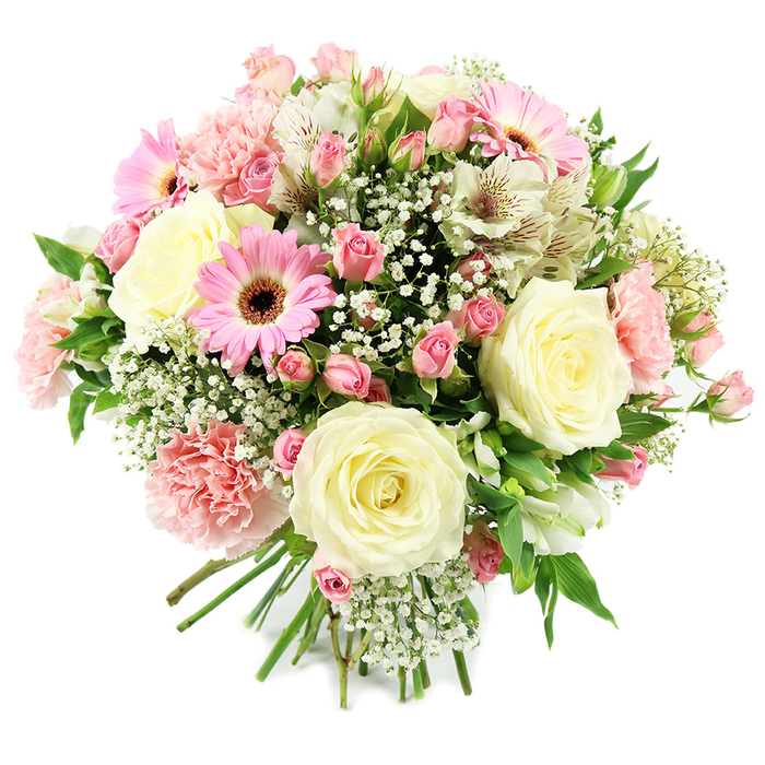 In this image, a generously full, round bouquet is presented against a bright white backdrop, each blossom clearly defined, as though just placed on a counter in a Stanmore flower shop. Central to the composition are several large cream roses, fully opened but still holding their form, with layer upon layer of velvety petals that create a classic, romantic core. Interspersed among them are dainty pink spray roses, their smaller heads and varied stages of bloom adding subtle dimension and a sense of natural movement, like flowers gathered from a well-tended suburban garden. Adding a more playful accent, bright pink gerbera daisies stand out with their symmetrical, daisy-like petals and pronounced brown centres, bringing a fresh, modern energy to the pastel palette. Soft pink carnations provide plush volume, their deeply ruffled petals forming billowy shapes that cradle and cushion the surrounding flowers. White alstroemeria, sometimes called Peruvian lilies, stretch gracefully through the bouquet, their slender petals adorned with fine streaks and delicate speckles of reddish-brown, adding an intricate, almost painterly detail. Throughout the arrangement, tiny white gypsophila blossoms create a soft halo, filling in the gaps with a cloud-like lightness that enhances the impression of abundance. Fresh green leaves and stems peek out between the blooms, offering contrast and a sense of vitality that recalls the leafy streets and local green spaces around Stanmore. The visible stems at the base are neatly aligned and bound together, revealing an experienced florist's touch. The overall mood is one of gentle joy and quiet elegance, perfectly suited to birthdays, Mother's Day, anniversaries, or as a graceful gesture of thanks or sympathy, delivered with care across Stanmore and nearby areas.