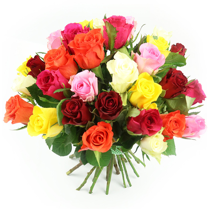 In this photograph, a sumptuous bouquet of freshly cut roses sits against a pure white backdrop, every detail sharply defined, as if displayed in the window of Flowers Stanmore on a bright morning. The bouquet is hand-tied and rounded, forming a compact, dome-shaped mass of flowers that feels both generous and carefully controlled. The roses appear in a wide spectrum of colours: velvety reds and rich burgundies, perfect for conveying deep affection; bright, sunlit yellows and warm oranges that suggest joy and celebration; vivid fuchsia and magenta tones that add excitement; and soft pastel pinks paired with creamy white and ivory blooms for balance and softness. These colours are woven together evenly, without rigid separation, creating a natural, painterly blend that evokes the varied seasonal plantings in gardens around Stanmore and Canons Park. Many of the roses have petals fully rolled back, forming wide rosettes with velvety, layered textures, while others remain partly closed, giving a sense of depth and movement within the arrangement. Slim glimpses of dark green foliage can be seen between the heads, offering contrast and highlighting the brightness of the petals. Beneath the flowers, the long green stems are neatly aligned and firmly tied with a green and white gingham ribbon, which introduces a touch of country charm and signals that this is a hand-crafted bouquet ready to be gifted. The white background and even lighting place the focus entirely on the flowers, capturing the subtleties of tone and texture. The overall impression is of an elegant yet joyful bouquet, ideal for celebrating birthdays, anniversaries, or special family gatherings in and around Stanmore.