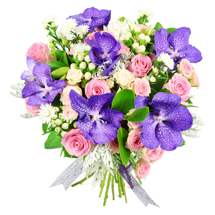 This elegant hand-tied bouquet is photographed against a bright white background, allowing every bloom and leaf to stand in clear relief, as though you are viewing it on the counter of a Stanmore florist on a sunny morning. Dominating the design are opulent Vanda orchids in intense shades of purple and blue, each wide petal marked with filigree-like speckles and subtle veining that conveys a sense of depth and texture. Surrounding these orchids is an abundance of pastel roses: blush pink roses with gently unfurling centres, some still cupped and protective, others fully opened into soft, layered blooms that invite you to imagine their delicate fragrance. Smaller, creamy white spray roses are clustered around them, filling any gaps and adding volume without overwhelming the eye. Between the main flowers, fine sprays of small white blossoms provide a light, airy contrast, while rounded hypericum berries in creamy hues introduce small, bead-like accents that feel both contemporary and chic. The foliage is carefully composed: velvety, silvery Dusty Miller leaves with their frosted appearance weave alongside high-gloss deep green leaves that lend structure and rich contrast. The stems are gathered tightly and finished with a semi-transparent ribbon in a silver-lilac shade, its subtle iridescence catching the light and tying the palette together. This bouquet exudes a sophisticated, celebratory mood, ideal for marking cherished occasions in Stanmore-perhaps an anniversary celebrated in a restaurant off The Broadway, a milestone birthday near Stanmore Hill, or a thoughtful congratulations for a new home. It is a floral arrangement that balances romance and drama, showcasing the skill of local florists in blending premium blooms into a single, harmonious design.