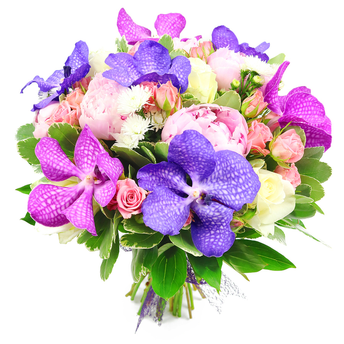 This opulent bouquet, photographed against a bright white backdrop, showcases a rich interplay of purple, pink, and white tones, each bloom carefully placed to achieve a harmonious, full composition. Dominating the eye are several large Vanda orchids, some a deep, velvety indigo purple, others a vibrant magenta or fuchsia, their broad petals patterned with characteristic speckling and fine veining that lend a sense of intricate craftsmanship. Interspersed amongst them are romantic pink peonies, fully opened and densely layered, their soft, billowing petals creating a plush, almost cushion-like texture that radiates classic charm. Complementing these star flowers are clusters of smaller blooms: light pink spray roses and peachy-pink rosebuds combine with a few creamy white roses, offering a subtle gradient of colour from warm blush to pale ivory, and adding variety in scale and form. Tiny white filler flowers, likely fine chrysanthemums or asters, tuck into the gaps between larger heads, giving the bouquet added depth and a delicate, almost lace-like detail. A halo of abundant greenery surrounds the blossoms, featuring glossy, broad leaves and finer, varied foliage that echo the lush planting seen in Stanmore's private gardens and nearby green spaces like Stanmore Country Park. The stems are drawn together at the base and secured with a discreet purple ribbon, suggesting the bouquet is ready to be handed over at a celebration or placed directly into a vase. The overall impression is one of refined celebration and contemporary luxury, a floral arrangement suited to weddings, anniversaries, or elegant gatherings across Stanmore, adding a sophisticated splash of colour and natural beauty to any interior.