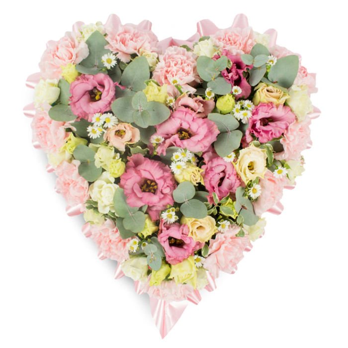 This heart-shaped floral arrangement, photographed against a crisp white background, conveys both tenderness and quiet strength. Its outline is clearly defined by a thick border of soft, pale pink carnations, each bloom tightly packed so that the petals merge into a plush, almost quilted edge. Nestled along this border are delicate accents of light pink satin ribbon, formed into small, symmetrical bows that catch the light in a subtle sheen, enhancing the sense of ceremony and care. Inside the heart, the composition is rich and layered. Large, open pink lisianthus blossoms, with their softly ruffled petals and velvety appearance, draw the eye, offering focal points of rose and soft fuchsia tones. Intermixed with them are generous clusters of light pink carnations, building a cushion of colour that feels gentle and embracing. Creamy yellow and pale ivory spray roses, in various stages from tight bud to half-open bloom, are dotted throughout, brightening the palette and echoing the gentle sunlight one might see across Stanmore's green spaces. Tiny, cheerful white daisy-like flowers with bright yellow centres are scattered like small stars, adding a fresh, almost hopeful note. Between the flowers, rounded sprigs of silvery-green eucalyptus weave gracefully, their cool hue contrasting with the warmth of the petals, while deeper green foliage adds shadow, depth, and a natural garden-like feel. The overall effect is of a full, harmonious floral heart that radiates love, remembrance, and a calm dignity. It feels perfectly suited to accompany a farewell service in Stanmore, perhaps resting beside the coffin or on a stand near the front of a chapel, a sincere expression of sympathy and enduring affection from family and friends.