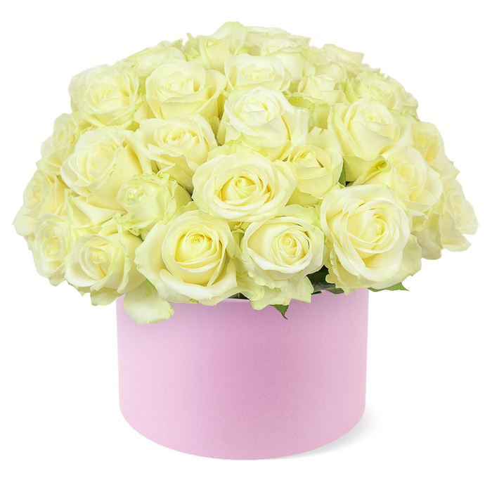 A generously filled hat box arrangement showcases dozens of cream and ivory roses gathered into a plush, domed bouquet, like a cloud of petals hovering above a pastel pink cylinder. Each rose is fully open or nearly so, with velvety petals unfolding in layered spirals that speak of classic romance and careful curation by an experienced florist. Subtle glints of pastel yellow appear at the centres of some blooms, giving the composition a warm heart and hinting at the gentle fragrance one might notice when the bouquet is placed on a dining table in a Stanmore home. The blooms are packed closely together, leaving no gaps, so that the surface of the dome looks continuous and luxuriously full. Just beneath this cushion of petals, small accents of fresh green foliage peek out, providing a delicate frame that keeps the design feeling natural and alive rather than overly formal. The hat box is a soft blush pink with a smooth, matte finish that suggests high-quality, tactile materials-something you might linger over while unboxing an anniversary gift ordered for delivery to one of Stanmore's quiet, tree-lined streets. Its round, hatbox-style shape supports the weight of the floral dome, creating an elegant silhouette that gently overflows the rim. Set against a crisp white background, every nuance-the creamy tones, the gentle shadows between petals, the contrast of pink and green-is clearly defined. This arrangement feels ideal for celebrating a wedding anniversary, marking a special birthday, or sending a heartfelt thank-you, especially across the Stanmore area where understated, timeless style is often preferred.