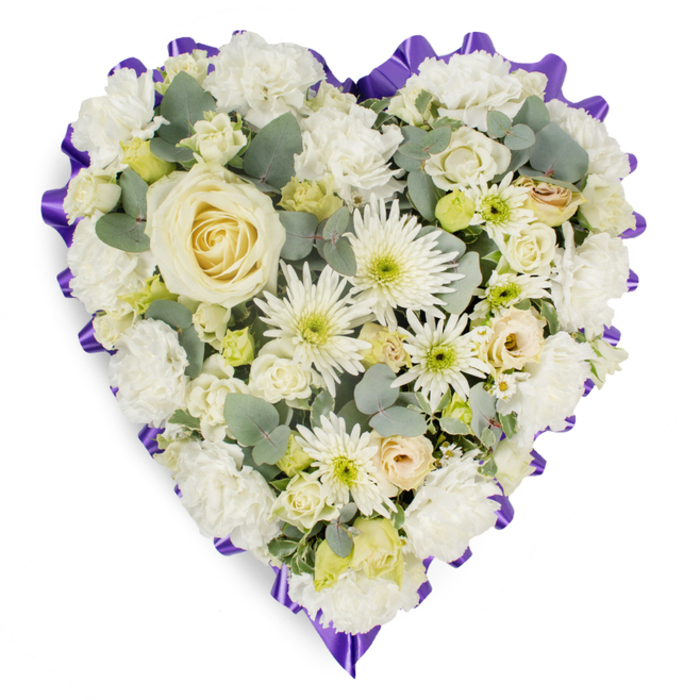 A heart-shaped memorial cushion, photographed on a stark white field so the arrangement's pale palette and textures take centre stage. The focal point is a single, perfectly formed creamy-white rose whose spiralling petals draw the gaze inward; around it, dense masses of white carnations build a plush, cloud-like body. Scattered among these are white spider chrysanthemums with their elongated, needle-like petals, adding architectural contrast and a lively, almost luminous quality. Tighter cream rosebuds and button lisianthus provide smaller counterpoints of form, while tiny pale yellow and soft green accents enliven the overall composition without disturbing its calm. Eucalyptus leaves in a blue-green, almost silvery tone are carefully tucked throughout, contributing cool visual depth and a suggestion of aromatic freshness. Encircling the entire heart, a ruffled ribbon in deep lavender to purple creates a clearly defined, scalloped border that lends solemnity and a refined punctuation to the design. The lighting is even and soft, revealing the layered structure and the slight sheen on rose petals and the matte texture of foliage, so a viewer can almost sense how the arrangement would feel to the hand. Crafted with the sensitivity of a funeral florist near Stanmore tube and the surrounding neighbourhoods, this floral heart is composed to convey enduring love, peaceful rest, and dignified tribute-an appropriate choice for memorial services, church funerals, or to lay at a graveside with heartfelt condolences, prepared with the attentive arranging standards of a local studio like Flowers Stanmore.