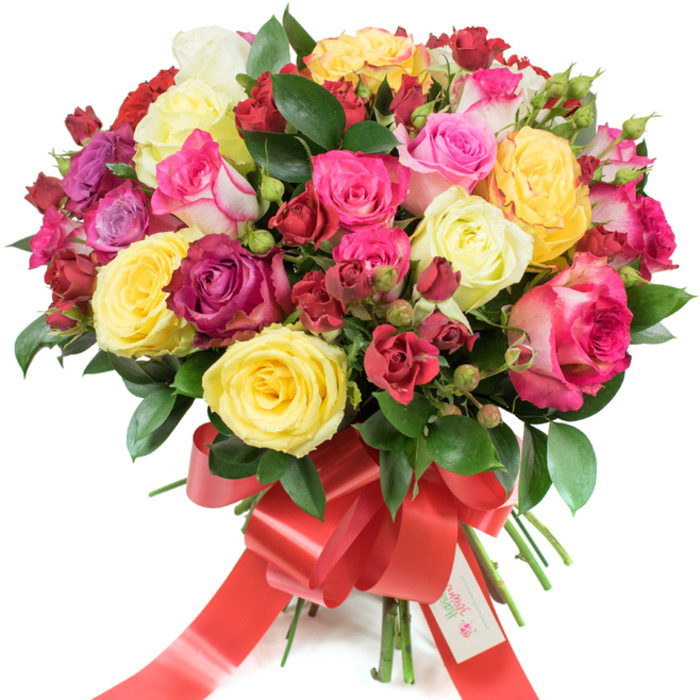 This opulent rose bouquet is presented against a stark white studio background, each blossom composed to form a harmonious, abundant dome that feels both festive and tender. The colour story ranges widely: joyful bright yellows, soft creamy ivories, a spectrum of pinks from barely-there blush to vivid fuchsia and showy bicoloured pink-and-white blooms, and deep, romantic reds and burgundies. Large hybrid tea roses open fully to reveal layered petals, contrasted by clusters of smaller spray roses and many tight buds that promise continued bloom - the variety creates a tactile rhythm across the bouquet. Interspersed glossy green leaves, likely ruscus or salal, offer a cool, verdant counterpoint, enhancing depth and helping each hue to sing. The stems are expertly gathered and secured with a wide red satin ribbon tied into a prominent, flowing bow; a discreet white tag with a logo and the words Happy Holidays nestles near the knot. The soft lighting accentuates petal translucency and the ribbon's sheen, and the arrangement conveys a clean, slightly citrus-robed fragrance that lifts the composition. This is the kind of bouquet that suits many occasions - a bright birthday treat, an anniversary token, a Valentine's declaration or a warm holiday surprise - and would arrive gracefully to homes across Stanmore, whether unwrapped after a stroll near Bentley Priory or brought in to brighten a kitchen table on a winter afternoon.