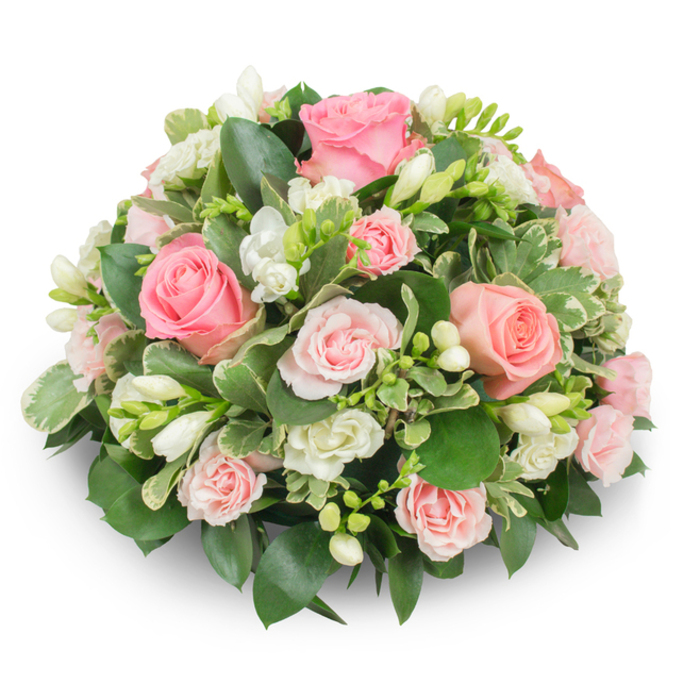 A meticulously arranged, rounded sympathy spray rendered in soft pinks and pure whites, photographed on a pristine white plane so the arrangement's colours and textures sing. Dominant pink roses-from fully accoladed garden roses with soft, unfolding petals to petite spray roses in paler blush-form the principal visual language, their layered depths producing gentle shadow and movement. Interwoven are clusters of stark white freesia: some stems bearing open, trumpet-like flowers that reveal faint yellow stamens, others held as compact buds, lending vertical lift and an element of quiet anticipation. The greenery is abundant and carefully placed; broad, glossy dark-green leaves (likely ruscus or salal) create a steady, grounding backdrop while variegated leaves edged in cream (pittosporum or euonymus) introduce bright punctuation and delicate texture. The dense, cushion-shaped build hides mechanics and stems, producing a seamless, formal silhouette that conveys respect and calm. The light in the image is soft and natural, accentuating velvety petal surfaces and the arrangement's serene colour harmony. This piece feels suited to a memorial ceremony in Stanmore-perhaps near Stanmore Broadway chapels or set beside a floral tribute at a local celebration of life-and it communicates consolation and enduring affection through an understated, expert floral composition.