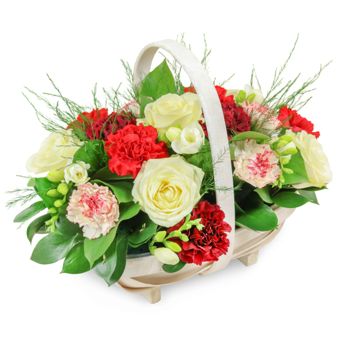 A softly lit funeral flower basket is shown against a crisp, white backdrop, highlighting every petal, stem, and texture. The container is a low, oval basket made from light-coloured wood, its surface smooth and finely finished, with delicate slats curving around the sides. It stands on four small feet that barely lift it from the ground, giving it a subtle sense of elevation, while an off-white, arched handle rises in a gentle arc across the top, echoing the quiet, traditional character of Stanmore's tree-lined streets. From this simple structure, a bountiful mound of flowers emerges, forming a compact, dome-like shape that slightly spills over the edges, suggesting generosity and heartfelt feeling. Several creamy white roses sit proudly within the composition, each one fully open, their layered, velvety petals unfolding in perfect spirals that speak of purity, reverence, and deep affection. Around them, a profusion of deep red carnations fills the space, their ruffled petals creating rich, cushiony heads of colour, from true crimson to slightly darker wine tones, adding emotional depth and a classic funeral elegance. Interspersed among these larger blooms are smaller, bell-shaped white flowers, likely freesias, rising on slim, green stems, some still in bud and others gently opened, contributing a sense of freshness and quiet fragrance. Here and there, bi-coloured carnations introduce a softer note-white petals softly edged or streaked with pinks and reds-adding visual variety without disturbing the formal palette. A lush base of dark green foliage, with broad, glossy leaves and light, feathery fronds, cradles and frames the arrangement, ensuring each bloom has its place. This carefully balanced basket would look at home in a Stanmore funeral service, whether placed at the front of a chapel, near a photograph of the deceased, or sent to a family residence as a compassionate symbol of support and remembrance.