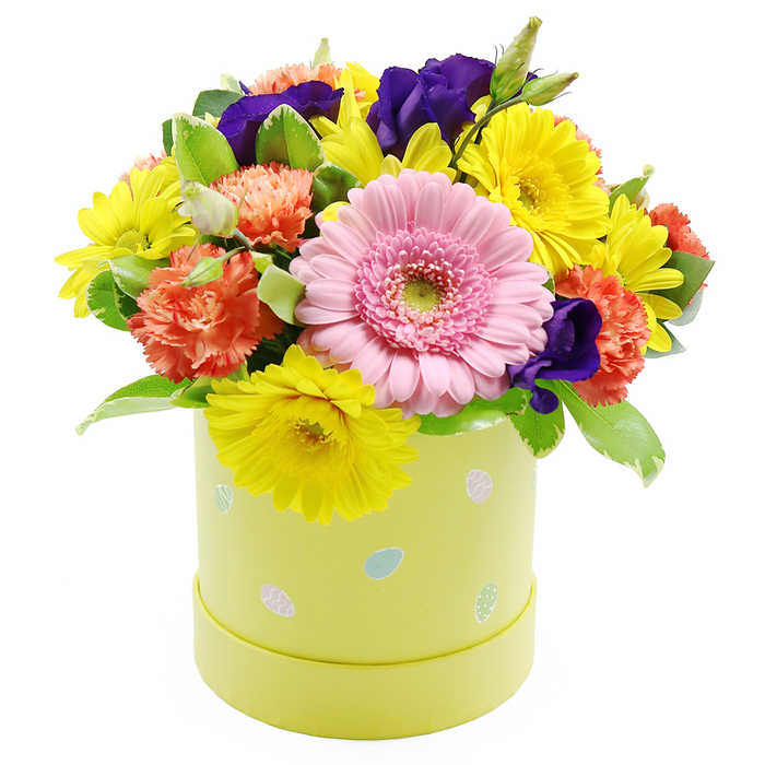 A cheerful Easter-themed floral hatbox sits centre stage against a spotless white background, filled with the kind of bright, uplifting colours that would instantly cheer a Stanmore living room or conservatory. The flowers are arranged in a densely packed, domed shape, creating a sense of generous abundance and thoughtful design. The central feature is a single large gerbera daisy in soft pink, placed slightly forward, its neat ring of petals surrounding a pale green eye that gives the bloom a friendly, approachable character. Around it, numerous yellow chrysanthemum-type flowers fan out, their slim petals catching the light and giving the arrangement a buoyant, sunlit feel, like a stroll through Stanmore Country Park on a clear spring day. Interspersed among them are lush coral-orange carnations, their many ruffled petals adding both volume and a cozy warmth to the colour palette. Deep violet-purple lisianthus blooms are strategically nestled between the brighter tones, adding sophisticated contrast and drawing the eye inward. Fresh green foliage, some leaves accented with lighter, almost creamy edges, meanders throughout the bouquet, breaking up the colours and suggesting the texture of a well-tended garden. All this floral detail emerges from a pastel lime-yellow cylindrical hatbox container. Its smooth sides are adorned with small, scattered Easter eggs in delicate shades of pale blue, pink, and white, some embellished with tiny dots or slender stripes, reinforcing the festive, family-oriented theme of the design. The simplicity of the white background makes every nuance of colour and shape more vivid. This arrangement feels ideal for an Easter lunch table in a Stanmore home, a seasonal gift for relatives nearby, or a welcoming decoration for a local practice or boutique wishing to mark the arrival of spring.