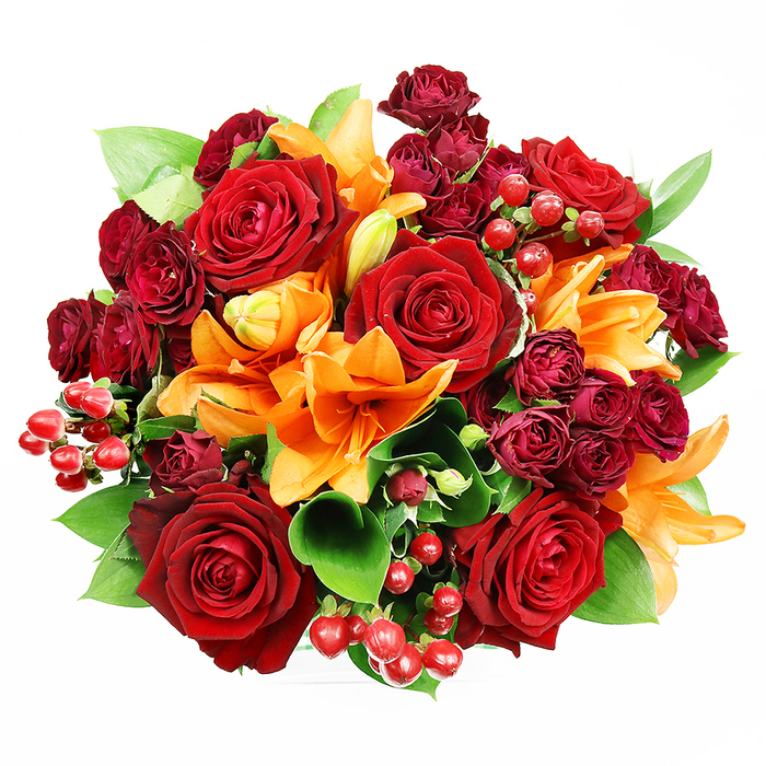 Taken directly from above on a white backdrop, this tightly arranged, circular bouquet presents an opulent study in warm tones and tactile contrasts. The largest elements are several deep crimson roses, fully open with velvety petals that curl and fold into complex centres, casting soft shadow and suggesting the dense, familiar scent of true romance. Intermingled are Asiatic lilies in saturated orange; some are fully unfurled to reveal their characteristic trumpet form and visible stamens, while others remain at various stages of opening, lending movement and anticipation to the still image. Smaller spray roses in a dark burgundy hue nestle in clusters, their many tiny petals creating a sumptuous, velour-like texture that amplifies the overall depth of colour. Scattered throughout, clusters of ruby-red hypericum berries provide glossy, spherical punctuation - bright, reflective accents that contrast with the matte softness of petals. Broad green leaves, likely ruscus or salal, fan beneath and between the stems, their fresh gloss and sturdy shapes giving the composition structure and a cool counterpoint to the warm palette. The light is even and soft, chosen to show colour fidelity and subtle petal details without dramatic shadows, making each element clearly legible. Picture this bouquet placed on a mantel in a Stanmore home after a stroll through Canons Park or offered as an anniversary bouquet delivered locally to Pinner or Harrow: it speaks of affection, celebration, and considered craftsmanship, perfect for marking moments of love or seasonal entertaining.