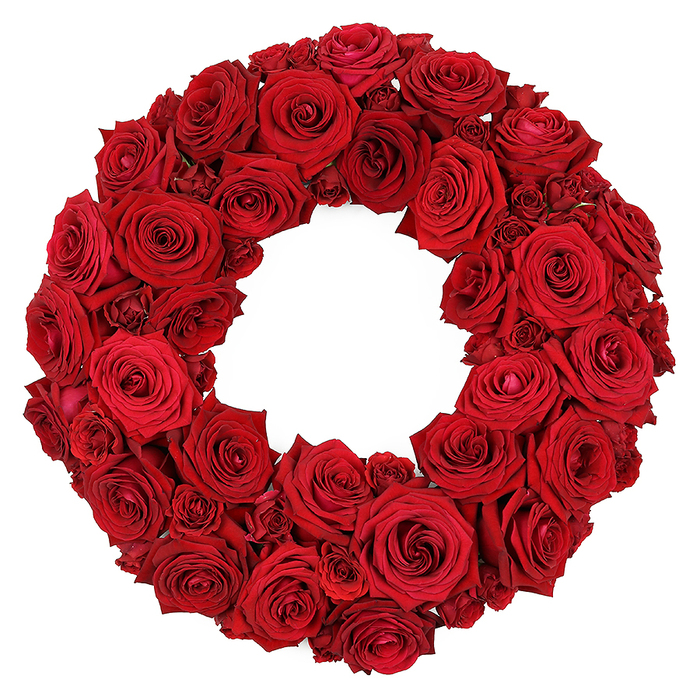A vibrant, circular wreath of dozens of deep red roses stands as a compact sculpture against a pure white background. The wreath is densely packed, the petals forming a plush surface with a uniform ruby tint. Large, fully opened heads dominate the ring, their velvety petals spiralling toward the flower's heart, while smaller, partially opened blooms and tightly grouped miniature roses nestle in the gaps, creating depth and movement. The absence of greenery makes the crimson the sole language of this piece, a deliberate celebration of love, passion, and remembrance. The craftsmanship is evident in the neat alignment of stems and petals, the even distribution of weight, and the seamless continuity from edge to center. This elegant arrangement suits ceremonies, memorials, or refined home decor, and it reads as a bold statement in any studio or editorial shoot. Created by a Stanmore-based florist for clients across the area, it is available for delivery to Stanmore and nearby towns, with careful handling to preserve its pristine surface and fragrance.