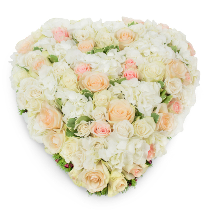 Against a stark white field and viewed slightly from above, this heart-shaped arrangement presents itself as a quiet, beautifully composed gesture of devotion. The heart is built from a luxurious density of roses - some small and tightly furled, others large and dewy with open petals - spanning shades of pure white, warm cream, soft peach and delicate blush. Between the roses, clusters of pristine white hydrangea form soft, voluminous pockets that give the arrangement a cloud-like depth and a pleasing contrast of texture. Subtle touches of deep green, possibly variegated leaves, peek through around the base and the perimeter, lending a sense of freshness and a gentle frame to the pastel florals. The bouquet's surface is seamless and lush; the shadow it casts on the white background hints at the careful wiring and padding that secure each bloom, a mark of considered craftsmanship. The scent is understated - clean, floral rose notes with a faint green freshness - reinforcing the arrangement's mood of serenity. This piece reads equally as an intimate wedding statement, a tender anniversary present, or an elegant memorial tribute meant to honour and comfort. Envision it as a sympathetic focal piece in a Stanmore chapel or as a thoughtfully placed remembrance on a family mantle, where its soft palette and handcrafted quality will offer solace and celebrate enduring love with timeless restraint.