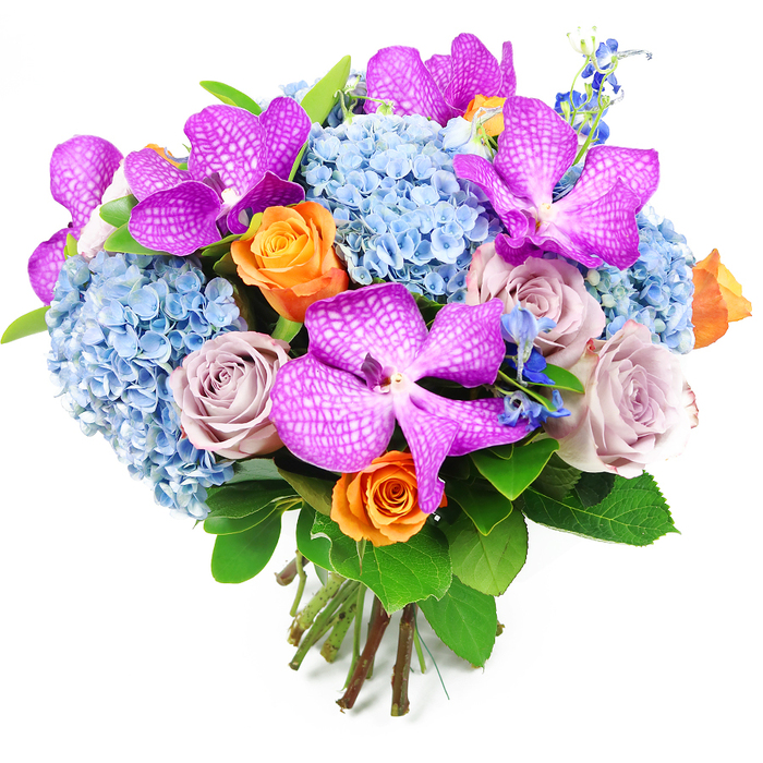 This elegant hand-tied bouquet is photographed against a plain white background, allowing its rich colours and textures to shine with quiet confidence, much like a refined gathering in a Stanmore home. At first glance, the eye is drawn to the dramatic Vanda orchids scattered throughout the design, their petals saturated in deep magenta and fuchsia tones and sprinkled with fine white speckles that create a distinctive, reticulated pattern. These exotic blooms add a sense of opulence and contemporary flair, perfectly suited to stylish interiors around Stanmore and neighbouring Canons Park. Cradling the orchids, a generous collar of sky-blue hydrangeas forms a soft, cloud-like base; each rounded head is formed by a tapestry of tiny, delicate florets, lending the bouquet a plush, voluminous presence. The cooling blue shades of the hydrangeas gently temper the intensity of the orchids and introduce a tranquil, almost coastal mood. Intertwined with this blue foundation are roses in shades of zesty orange and muted lavender-mauve. The orange roses, with their neatly spiralled hearts just starting to open, bring a bright, celebratory feel, while the dusty-lavender roses provide a more understated, romantic counterbalance. Slender stems of smaller, deeper-blue blooms, similar in form to delphiniums, emerge between the primary flowers, offering vertical accents and a deeper note of blue that enriches the overall palette. Framing the bouquet is a ring of lush green foliage, with broad, glossy leaves that catch the light and provide a natural contrast to the vivid blooms. At the base, the stems are visible, neatly trimmed and tied together, giving the arrangement a rounded, domed silhouette that clearly reflects professional craftsmanship. This bouquet would make a beautiful centerpiece for family gatherings in Stanmore, thoughtful anniversary surprises, or elegant gifts that speak in colours and textures rather than words.