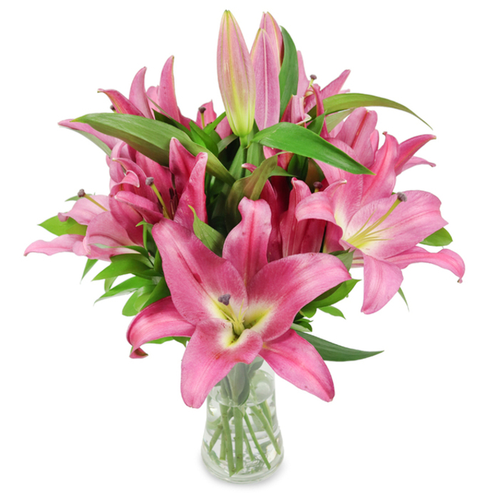 A strikingly fresh bouquet of pink oriental lilies stands in a tapered clear glass vase against a stark white studio background, each blossom arranged to show its fullest, most flattering angle. The flowers read in a rich range from deep magenta at the petal edges to softer rose and blush tones toward the throat, where a chartreuse-yellow centre shifts into creamy white, creating a luminous focal point at the heart of each bloom. Dark burgundy stamens, rounded and pollen-dusted, arc outward from several open flowers, their sculptural lines contrasting with the lilies' satiny, fruit-like petals. Sprigs of unopened and partially open buds-some with green tips-are woven through the display, signaling continued life and a rewarding progression of blooms over successive days. Dense, glossy green leaves and upright stems form a robust scaffolding that accentuates the bouquet's fullness and gives it a handheld, hand-crafted silhouette. The clear vase reveals trimmed stems submerged in clean water, and the neutral lighting brings out the petal texture and the gentle perfume you might imagine wafting from a vase on a Stanmore kitchen island. As arranged by Flowers Stanmore, this bouquet reads as both refined and heartfelt, suitable for celebrations, a thoughtful sympathy offering, or as a bright accent for a local home, office, or community space near Stanmore High Street or the surrounding residential streets.