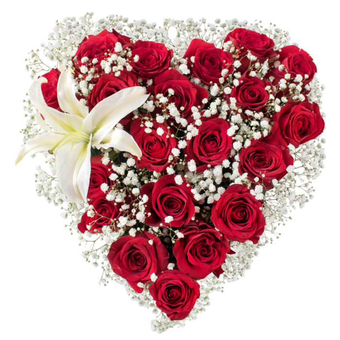 A meticulously constructed heart of flowers takes center stage on a bright white background, its silhouette defined by the deep, almost velvety crimson of dozens of red roses. Each rose is presented in a different phase-tight, promising buds segue into full, layered blooms-so the eye travels across textures and shadows as if reading a love letter in petals. Peppering the red matrix are clouds of tiny white Gypsophila; these baby's breath clusters breathe light into the design, creating soft margins and a lace-like contrast that lifts the heart visually. Tucked into the upper-left curve, a single white lily opens with broad, elegant petals; a soft hint of creamy yellow near its centre and prominent yellow stamens give the blossom a serene, luminous quality that offsets the passionate reds. The arrangement's tactile contrasts-the velvety rose surfaces, the waxy lily petals, the feathery gypsophila-are articulated with the calm confidence of an experienced florist arranging for a special moment. The white backdrop isolates and intensifies the colours so the composition reads clearly in photographs or in a room filled with gentle daylight. As a Stanmore touchstone, this design is the sort of bouquet Flowers Stanmore would prepare for anniversaries, romantic surprises, or a tasteful memorial, with attention to balance and longevity that suits local deliveries to addresses near Stanmore tube, Canons Park, or the High Street. It's a visual and sensory statement of refined affection-rich, tender, and carefully composed.