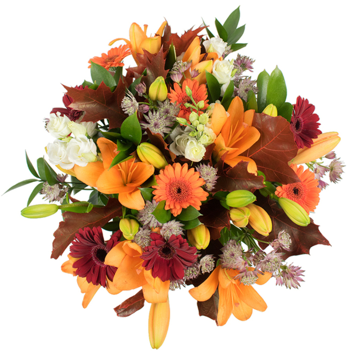 A lush, elevated view of an autumnal bouquet assembled with a florist's eye for texture and balance, the kind of seasonal arrangement we craft at Flowers Stanmore for neighbours across Stanmore Broadway and the surrounding streets. Dominant orange Asiatic lilies bloom widely, trumpet petals curling outward to reveal delicate veining and inviting centres, while numerous pale-green and apricot lily buds promise progression and life over the days ahead. Vivid orange Gerberas punctuate the design with sunny faces, contrasted by burgundy-red Gerberas whose darker petals read like velvet against the lighter tones. Soft, creamy Lisianthus blooms provide gentle relief, their layered ruffles creating small pockets of light, and clusters of muted purple Astrantia bring a lace-like texture that floats through the bouquet. Large, lobed leaves in a warm reddish-brown are artfully placed to suggest freshly fallen oak, echoing the colour of Stanmore's autumn canopy; interspersed fresh green foliage and upright stems hold the composition together and add a lively, structural cadence. Set against a pure white background with bright, even illumination, each hue and surface - glossy petals, matte leaves, delicate stamens - becomes legible and rich. The bouquet reads as an abundant, harvest-season statement: warm, comforting, and hand-tuned for occasions from Thanksgiving and housewarmings to birthdays. As a local arrangement, it carries the scent and rhythm of late-season gardens in Stanmore, a tactile reminder of the turning leaves and the careful hands that assembled it.