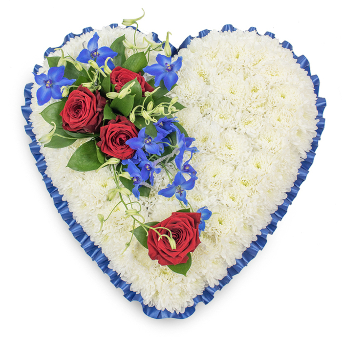 Captured from a top-down perspective, this heart-shaped funeral arrangement appears calm and composed, as if it has just been set in place for a meaningful farewell in Stanmore. The heart itself is densely filled with white chrysanthemums, their small, daisy-like florets layered closely together to form a soft, pillowy surface. The petals are crisp and fresh, lending a luminous, almost glowing quality to the white, like gentle daylight reflecting off the white facades of houses along Stanmore Hill. Around the entire perimeter, a royal blue satin ribbon is finely pleated and ruffled, creating a decorative border that defines the heart's outline with clarity. The ribbon's deep blue colour and subtle shine introduce a sense of ceremony, framing the tribute like a sash on a ceremonial garment. In the upper left quadrant, a rich, asymmetrical spray of flowers provides contrast and emotional focus. Three fully opened red roses form the core of this cluster, their velvety petals unfolding in tightly formed spirals that speak of devotion, loss, and enduring love. These roses are nestled among glossy, dark green leaves that provide a grounding backdrop. From the rose cluster, bright electric blue dendrobium orchids cascade diagonally toward the centre of the heart, their star-shaped petals and gradations of blue creating a sense of movement, as though colour is gently flowing over the white base. Fine, curling green tendrils weave between the orchids, introducing soft, organic lines that lighten the composition. On the lower right curve of the heart, a single red rose is carefully placed alone, echoing the colour of the main spray and balancing the design, yet suggesting a quieter, individual farewell. The combination of textures and colours-white chrysanthemums, blue ribbon, red roses, and blue orchids-results in a tribute that feels both serene and heartfelt, a fitting floral expression of sympathy for a Stanmore funeral or remembrance gathering.