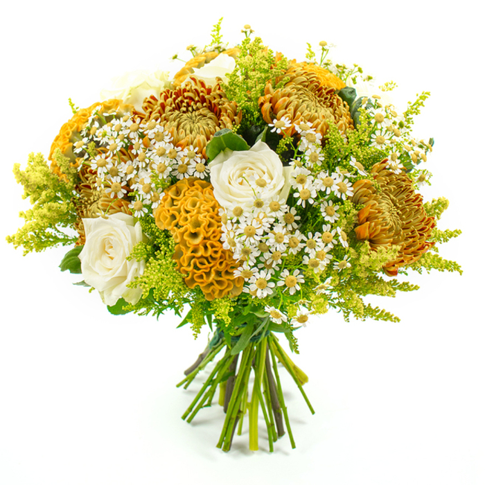 Against a clean white backdrop, this lush bouquet appears almost to glow, its warm colours gathered into a harmonious dome that feels perfectly suited to Stanmore's leafy, residential charm. The composition is dominated by large chrysanthemums in shades of golden yellow, deep amber, and rusty orange. Their intricate, spiky petals radiate from dense centres, creating a sense of fullness and depth that mirrors the layered canopies of trees in Stanmore Country Park when autumn begins to show. These blooms lend the bouquet a strong seasonal character and a sense of natural abundance.   

Among them, refined cream-white roses are carefully placed, each one opening in a gentle spiral. Their smoother, more understated texture offers a soft counterpoint to the dramatic chrysanthemums, adding grace and romance to the design. Standing proudly within the mix is golden-yellow celosia cockscomb, with its distinctive velvety ridges and sculptural, coral-like shape. This unusual flower introduces both movement and intrigue, drawing the eye and inviting touch. Scattered over and among the larger blooms are delicate white daisy-like flowers with tiny yellow centres-reminiscent of chamomile or matricaria-bringing a light, informal charm, as though picked from a sunny verge along Uxbridge Road.   

Rounding out the arrangement, airy fronds of lime-green solidago and other mixed foliage spill gently from the edges, providing a fresh green frame that highlights the warm tones at the core. The stems are pulled together neatly at the base and secured with green florist's tape, a hallmark of thoughtful, professional floristry from local experts like Flowers Stanmore. The bouquet radiates warmth, gratitude, and gentle celebration, ideal as a centrepiece for a family gathering, a seasonal thank-you gift, or a same-day delivery to homes and offices across Stanmore.