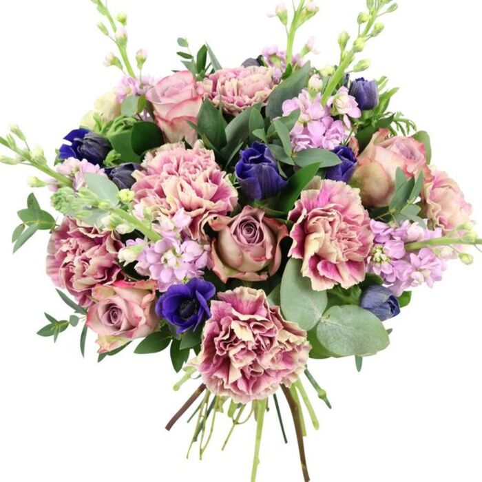 This hand-tied bouquet, shown against a pristine white background, radiates a sense of gentle luxury, as though it has just been finished in a Stanmore studio before heading out for same-day delivery. In the centre, opulent garden roses open widely in shades of dusty rose, blush pink, and soft mauve, their petals spiralling inward in layered, velvety folds that draw the eye and anchor the design. Surrounding these focal blooms, numerous ruffled carnations add volume and movement, each petal slightly curled and tinged with subtle gradations of colour-from creamy beige at the heart to blush and deeper rose along the fringed edges. Piercing the warm pink palette, intense accents of royal blue and deep indigo create a rich contrast: some are smooth, tulip-like buds with a sculpted silhouette, while a prominent open anemone near the base shows velvety blue petals wrapped around a dark, inky centre, giving the bouquet depth and drama. Threaded throughout are slender stalks of pale lilac and lavender stock flowers, their delicate clusters of tiny blossoms stepping upward through the arrangement and adding a sense of lightness, like the soft haze of evening sky over Stanmore's leafy streets. The bouquet is framed by an abundance of greenery; rounded, silvery eucalyptus leaves intermingle with darker, glossy foliage, creating both structure and a cool, refreshing visual tone that hints at a faint, herbal fragrance. At the bottom, the stems are gathered tightly and left visible, reaffirming this as a freshly hand-tied design, ready to be placed in a favourite vase. The overall effect is poised and romantic, making it an ideal choice for weddings, anniversaries, or to offer a heartfelt gesture to someone in Stanmore, Canons Park, or along Marsh Lane.