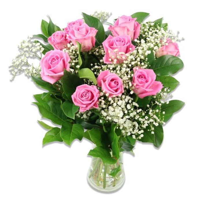 A classic glass vase filled with pink roses and baby's breath is set against a spotless white background, its gentle colours and soft textures evoking the tranquil streets and leafy gardens of Stanmore. At the centre of the composition is a full cluster of approximately ten to twelve pink roses, arranged so their heads form a pleasingly rounded, almost symmetrical shape. The roses display a range of blooming stages: some appear as neat, rounded buds with petals still closely held, while others expand into open, layered blossoms, their velvety petals curling outward in delicate waves. The hue of the petals shifts subtly from pale, baby-soft pink near the tips to a deeper, warm pink closer to the heart of each flower, adding visual depth and a sense of romance. Interlaced among these blooms are fine, branching stems of white baby's breath, whose countless tiny flowers create a gossamer-like veil around the roses, softening edges and filling small gaps with light and air. Dark green rose foliage surrounds and punctuates the arrangement, the leaves slightly glossy and shaped in gentle ellipses, providing bold contrast that makes the pastel tones appear even fresher. The clear glass vase holds the green stems in a loose, natural pattern, with the water level clearly visible, underscoring the bouquet's freshness and professional preparation, perhaps by a local Stanmore florist. Even, bright light bathes the entire image, eliminating harsh shadows and allowing each texture-from smooth glass and dewy leaves to the fine petals-to be seen clearly. The overall effect is one of soft celebration and welcoming warmth, perfect for baby flowers, christening gifts near Stanmore station, or a quiet decorative touch in a nursery.