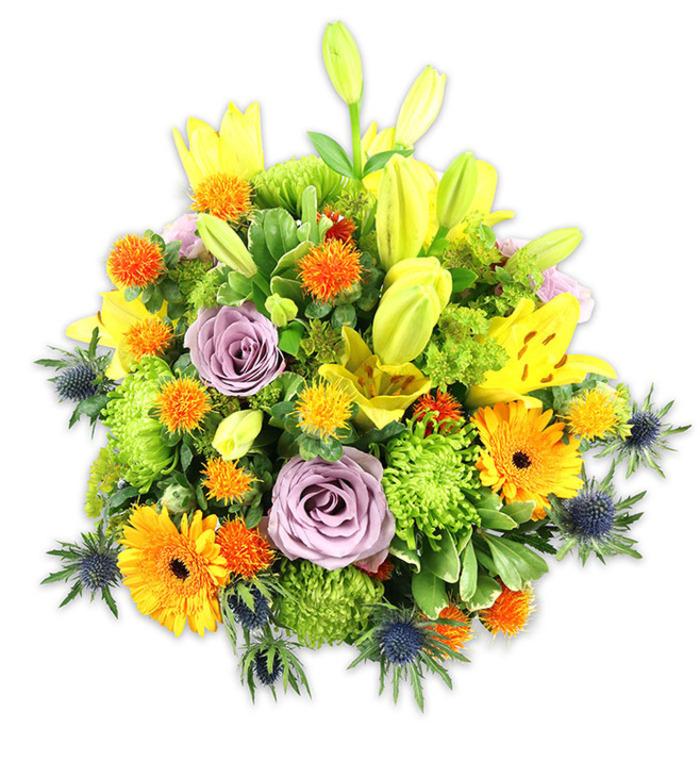 Against a pristine white background this abundant floral composition displays a harmonious blend of warm and cool tones, assembled with the confident hand of an experienced florist. Tall yellow Asiatic lilies catch the light with their glossy, speckled petals - some fully open and slightly curved to reveal stamens, others held tight as elongated buds - giving the bouquet vertical emphasis and a sense of unfolding life. Surrounding them are broad-faced orange Gerbera daisies whose flat, symmetrical petals radiate warmth, while scattered clusters of small, spherical orange-and-golden accent blooms add lively punctuation and a tactile, almost pincushion texture. Soft lavender-purple roses are placed as calming focal points; their velvety spirals soothe the eye and introduce a gentle fragrance that balances the brighter notes. Bright lime-green button chrysanthemums create voluminous, ruffled pockets that lend richness and a vibrant green undertone. Providing striking contrast, several blue-grey sea thistles (likely Eryngium) emerge from the lower and side sections, their spiky bracts and stern silhouettes offering a cool, architectural counterbalance to the softer flowers. A variety of greens - glossy lily foliage, smaller serrated leaves, and rounded fillers - knit the design together and add natural movement, as if the bouquet had been gathered from seasonal beds near Canons Park on an early morning. The overall impression is one of celebration and thoughtful presence: a versatile gift for birthdays, anniversaries, or warm remembrances, created with care and compositional balance for homes and events around Stanmore.