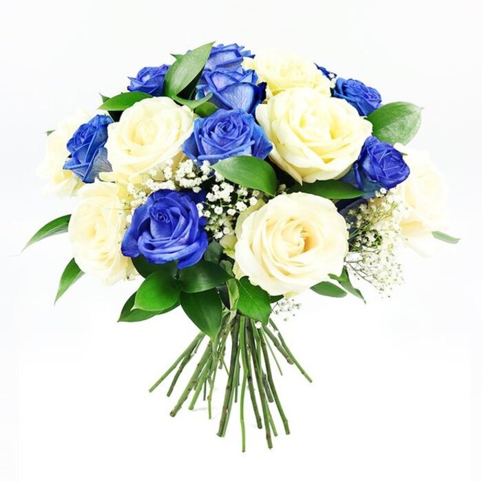 The photograph shows a hand-tied bouquet of roses in rich sapphire blue and soft cream, captured against a seamless white background that makes the arrangement look almost sculptural. The bouquet is rounded and full, with an even mix of blue and cream roses, each bloom nestled closely to the next so that the colours weave together harmoniously. Some roses are fully open, displaying generous layers of velvety petals that curl back in graceful spirals, while others are more compact and budding, adding movement and dimension to the composition. Threaded delicately between the roses are airy clusters of white baby's breath, each tiny flower like a pinpoint of light that softens the contrast between the deeper hues. Dark green foliage, similar to Ruscus, forms a quiet frame around the outer edge and slips between the blossoms, adding depth and a sense of natural freshness. At the base, the gathered stems are neatly aligned and tied, clearly indicating a freshly prepared, hand-tied design, much like those created in Stanmore for local families marking a farewell or remembrance. The lighting is bright yet diffused, illuminating the petals and leaves without creating harsh reflections, so that every curve and fold appears gentle and touchable. The mood that emerges is one of serenity, respect, and subtle luxury-a bouquet well-suited to sympathy occasions, funeral tributes, or condolence deliveries to addresses near Stanmore station, Canons Drive, or the quiet residential avenues that branch from Stanmore Hill. It feels like a composed, floral whisper of support in moments when words might be difficult.