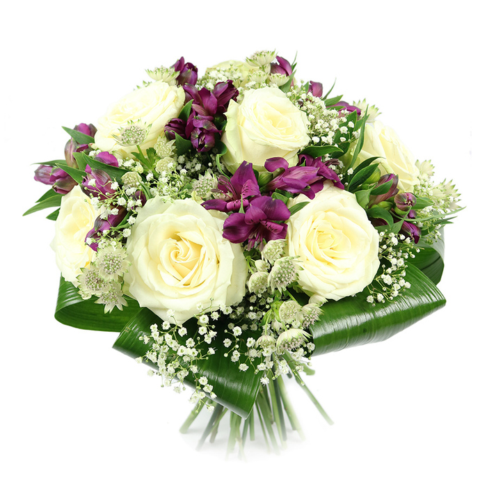 This image presents a lush, compact bouquet set against a stark white background, drawing full attention to its refined palette of creamy whites, deep purples, and fresh greens. Dominating the centre of the design are several fully bloomed white roses, six or more clearly visible, their classic spiralled petals unfolding in soft, symmetrical layers that suggest both luxury and tranquility. Interspersed throughout are clusters of alstroemeria in shades of rich purple and magenta, each slender, trumpet-shaped blossom accented with fine markings that introduce visual interest and contrast, like painterly strokes against the smoother rose petals. Threaded delicately among the larger blooms, airy sprigs of white baby's breath create a cloud-like filler, softening the arrangement's outlines and lending a subtle romantic haze reminiscent of early morning light over gardens near Stanmore Hill. Adding to the textural variety, stems of green-white astrantia appear with their star-shaped bracts and intricate pincushion centres, bringing a slightly wild, botanical character that feels freshly gathered from a local park. Encircling the base of the bouquet, broad, glossy aspidistra leaves are artistically folded into a structured collar, giving the arrangement a polished, rounded silhouette and emphasizing the contrast between the deep green foliage and the pale, luminous blooms. Below, the stems are neatly gathered and cut, clearly showing the bouquet's hand-tied craftsmanship. The even, bright lighting enhances every colour and texture, presenting the flowers at their freshest. Perfect for occasions such as anniversaries, birthdays, Mother's Day, or thoughtful thank-you gifts in Stanmore, this bouquet radiates quiet sophistication and heartfelt care.