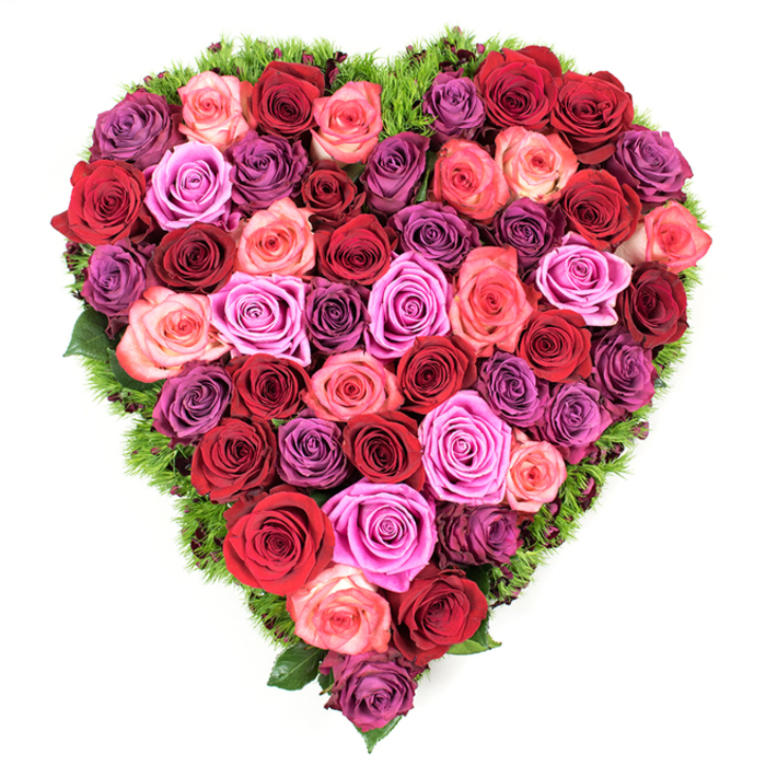 A lavish, overhead view reveals a heart-shaped composition built entirely from tightly packed roses in a dramatic spectrum of reds, pinks and purples. Deep scarlets and burgundy provide a rich foundation, while softer blushes, coral-toned pinks and lively fuchsias thread through the centre, punctuated by cool lavender and plum blooms for contrast. Each rose is fully formed with layered, velvety petals and slightly furled centers that reflect a gentle studio light, producing a soft sheen that highlights freshness and texture. The heart is carefully defined by a surrounding rim of delicate, dark green foliage-moss-like and fine-that peeks between blooms to sharpen the silhouette and introduce a hint of woodland freshness. The craftsmanship is meticulous: roses are positioned edge to edge, removing negative space and producing a continuous carpet of petals that reads as both extravagant and intimate. Emotionally the piece radiates devotion, whether intended for romantic milestones, Mother's Day celebrations, or as a dignified memorial tribute. As experienced florists at Flowers Stanmore preparing designs for delivery across Stanmore and nearby Canons Park, we choose each bloom to balance colour flow and scent so the arrangement feels cohesive from any vantage. The photograph conveys not only the visual splendour of the heart but an implied perfume-the warm, green-rose fragrance that seems to wrap the viewer in comfort and remembrance.
