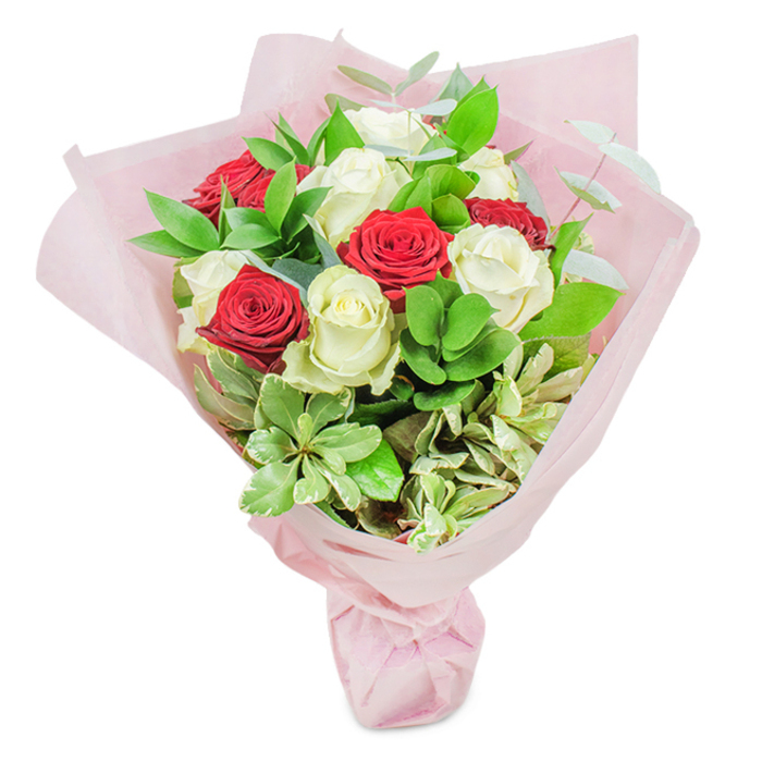 Captured in radiant clarity against a pristine white background, this stunning bouquet speaks to the artistry and tradition of Stanmore's best florists. Expertly formed with approximately 20 flawless roses, the arrangement is a harmonious blend of ten deep red roses and ten fresh, creamy white blooms-each rose boasting intricate, taut petals that signal unrivalled freshness. These roses are thoughtfully distributed for rhythm and contrast, creating an elegant tapestry of passion and serenity. Accentuating the central roses, a lush assortment of greenery flourishes: glossy, deep green Ruscus providing fullness; paler, rounder leaves adding contrast; silver-toned eucalyptus contributing both softness and scent; and variegated foliage with creamy edges enhancing vibrancy. All rests within several folds of translucent pastel pink floral paper, artfully gathered and tied to create a sense of sophisticated celebration. The wrapping's gentle blush bridges the fiery reds and pure whites, setting a perfect tone for anniversaries, romantic gestures, or thoughtful gifts for Stanmore's family milestones. In every detail, the bouquet reflects the warmth and expertise found at Flowers Stanmore-a tribute to the local tradition of celebrating life's moments with grace and heartfelt beauty.