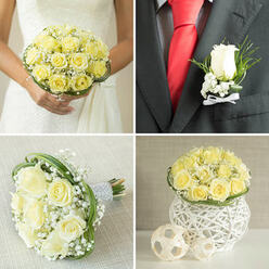 In the soft, natural light of a dressing room near Stanmore station, the boutonnière reads as a tiny emblem of calm and care: a single pale yellow rose sits at its centre, its petals compact and velvety, a small, dignified bloom that carries a quiet warmth. Around it, delicate sprays of gypsophila provide a whispery, cloud-like contrast-tiny white stars that catch the light and soften the silhouette-while slim sprigs of fresh green add a linear freshness and lift. The whole cluster is tied with a crisp white ribbon, its neat bow giving a tactile counterpoint to the plushness of the flower; the ribbon's edge is slightly matte, cool to the touch, and holds the piece together with understated precision. Pinned against a smart black lapel and set beside a vivid red tie, the contrast is striking yet harmonious: the pale rose calms the bold colour of the tie and adds a moment of tenderness to the groom's ensemble. As a florist in Stanmore, I think about scale and touch for these small pieces-the rose must feel comfortable and steadfast on fabric, not heavy, yet distinctive enough to be noticed in photos. The scent is subtle, a soft wash of fresh petals with a green undernote, meant to be enjoyed in passing when the bride and groom exchange a glance. This boutonnière is a compact declaration of affection and attention to detail, handcrafted to sit perfectly through vows and portraits, a fragrant, wearable token of the day.