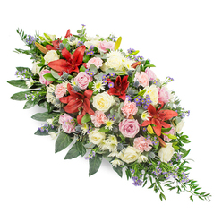 This refined casket spray stretches diagonally across a pure white background, its form echoing the length of a coffin adorned for a farewell service in or around Stanmore. The design is elongated and tapering, full and rounded at one end and gradually narrowing to a soft point, as if the flowers are gently flowing in one direction. Dominating the arrangement are deep red lilies in the style of stargazer or Oriental varieties, their broad, star-shaped petals opening dramatically and revealing a velvety texture and subtle freckling at the throat. These strong blooms are softened by an abundance of roses in cream, ivory, blush pink, and hints of lavender; some roses remain as shy buds, while others open fully, layer upon layer, like unfolding memories. Pale pink carnations with fringed, ruffled petals weave throughout, adding a plush, comforting feel, while clusters of white chrysanthemums and daisy-like sprays bring smaller, luminous accents that suggest innocence and peace. Cool blue-purple thistles and delicate sprays of lavender-blue filler flowers, similar to statice or veronica, are dotted between the warmer tones, lending contrast and depth, much like the mix of gardens and open green spaces around Stanmore and nearby Bentley Priory. Everything is grounded by a dense bed of foliage, with glossy, dark green leaves and lighter, feathery fronds that spill gently beyond the edges, especially towards the narrower end, giving the arrangement a natural, organic silhouette. The overall mood is quietly emotional and respectful, as if a local florist has thoughtfully composed this tribute for a family gathering to say goodbye. It is a piece that balances strength and softness, ideal for expressing sympathy, love, and enduring remembrance.