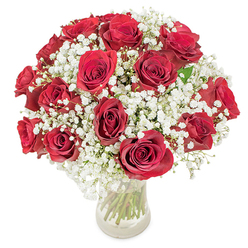 Carefully composed with the eye of a seasoned florist, this elegant arrangement features approximately 18-20 richly hued red roses, each bloom opened to reveal layers of velvety crimson petals, surrounded by an abundant cloud of white baby's breath (Gypsophila paniculata) that fills every gap with tiny, luminous blossoms. The flowers form a compact, rounded dome set in a clear glass vase through which the long, verdant stems are visible, their straight lines contrasting with the soft curves of the petals. Photographed on a plain white backdrop under gentle daylight, the scene highlights the tactile quality of the materials: the smooth, satiny rose petals catch faint highlights while the baby's breath reads as delicate, lace-like texture. The overall mood is intimate and classic-romantic without being ornate-conveying warmth and steady affection. I imagine this bouquet being chosen for a quiet Stanmore anniversary dinner, a Valentine's sentiment, or as a loving gesture delivered to a loved one near Stanmore tube or along The Broadway. Flowers Stanmore takes care in selecting each bloom so that the deep crimson remains consistent across the display and the gypsophila is full enough to create that soft, clouded effect. The visible stems, the clear vase, and the close, rounded arrangement all speak to craftsmanship that favours simplicity and emotional clarity, making this a dependable expression of love and refined taste.