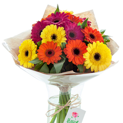 Radiant Gerbera daisies, hand-tied with artisan finesse, create a show-stopping bouquet set against a bright white background-the very image of Stanmore's blend of classic beauty and warm hospitality. Large, sun-kissed yellow, vivid tangerine orange, and deep magenta blooms command attention as they cluster together in the center, with their dark, velvety centers framing each petal's vibrancy. Flecks of glossy green leaves weave through the arrangement, recalling the leafy avenues and parks that give the Stanmore area its unmistakable character. The bouquet's rustic kraft paper wrap is enveloped in crisp, clear cellophane, the layers forming protective, softly fluted shapes around the blossoms, reflecting subtle light in a way that brings out their lively colours. In the clear glass vase below, sturdy stems stand tall, tied by a piece of brown twine and finished with a small, white tag bearing a scarlet rose illustration. Every detail speaks of freshness and care, from the sheen of the wrapping to the dewy petals, conjuring the spirit of a professional florist crafting thoughtful gifts for Jubilee Gardens residents or friends along Stanmore Hill. Perfect for celebrations, gratitude, or to bring the outside in, this picturesque bouquet radiates joy and the thoughtful expertise of local florists.
