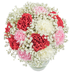 This exquisite bouquet from a Stanmore florist's hands weaves together tradition and modern artistry in a captivating display. At its center, plush carnations in sumptuous red, gentle blush pink, and creamy white emerge in a full, rounded cluster. Each bloom's delicately ruffled layers shimmer with creamy softness, creating a tactile richness that invites both sight and touch. Wisps of pure white baby's breath float among the carnations, adding a delicate airiness that evokes the lightness of an early Stanmore sunrise. The composition is thoughtfully designed, achieving a nearly spherical form that feels celebratory yet refined-a perfect fit for moments both grand and intimate, whether on Stanmore Broadway or in the comfort of a local home. The clear glass vase offers a view of sturdy, verdant stems within, reinforcing a sense of lively freshness. Photographed from above against a luminous white background, every nuance of petal and foliage comes to life, exuding an aura of understated luxury and welcoming warmth. This bouquet, suitable for occasions from heartfelt thank-yous to milestone celebrations, stands as a tribute to the skill and passion of Stanmore's florists-delivering both beauty and meaning with each stem arranged and every gesture made.