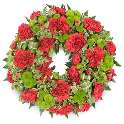 Against a clean white background, a circular sympathy wreath glows with the warmth of deep red and the brightness of fresh green, its form carefully composed yet gently organic. The ring is dominated by red carnations, generously packed so that they nearly touch petal to petal. Each carnation is full of softly curling, serrated petals that create a ruffled, almost cloud-like texture, reminiscent of traditional tributes seen at long-loved churches around Stanmore. Between these crimson blossoms are tucked vivid lime green button chrysanthemums, small and spherical, their tightly clustered florets forming neat domes that pop visually against the red. The interplay of these two flower types produces a harmonious contrast, lively yet still respectful. A supportive bed of foliage frames the floral circle: dark green fern fronds stretch outward with a fine, feathery appearance, lending depth and a touch of woodland softness, while variegated pittosporum brings lighter notes with its cream-bordered leaves. Woven through the greenery, a soft green ribbon with darker stripes forms gentle loops, echoing the circular shape of the wreath and adding an elegant, understated detail. The soft, even lighting and shadow suggest the wreath might be resting on a studio surface, yet it feels ready to be carried to a service in Stanmore, perhaps to a farewell near Canons Park or a quiet family gathering at home. Overall, the design speaks of care and intention, offering a dignified expression of sympathy and remembrance for someone dearly missed.