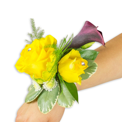 A compact, handcrafted wrist corsage arranged on a light-skinned wrist and set against a bright white background, combining sunny warmth and evening drama in one wearable piece. Two golden-yellow roses form the heart of the design: the left bloom open and gracious, the right a sweeter, more cupped bud. Their velvety petals appear soft to the touch and faintly fragrant, and each has been given a subtle jewel - a clear diamante tucked at the centre - that flickers gently with movement. Nestled behind them, a single dark plum calla lily rises in a smooth, elegant arc; its deep maroon-purple tone anchors the composition and creates a refined contrast that reads beautifully in photographs. Wispy asparagus fern lends a light, cloud-like texture above the blooms, while glossy, variegated green-and-cream leaves provide weight and structure beneath. Scattered among the foliage are clusters of tiny white filler flowers - petite mums or gypsophila - that add a dotted, star-like brightness. The piece is positioned diagonally from the lower-left edge toward the middle-right of the frame, showing how the corsage sits when worn and allowing the layered textures to be examined closely. Arranged with the calm attention of a local studio florist, this corsage evokes sunny laughter and evening sophistication in equal measure; it's the sort of piece we craft for Stanmore proms, Canons Park weddings, or special guests stepping out along Stanmore High Street, made to feel personal, balanced and fresh.