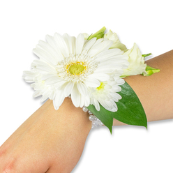 This delicate white wrist corsage is presented against a crisp white field, the forearm beneath it pale and still so the arrangement reads like a small, wearable garden. At its heart sits a vibrant white Gerbera daisy-broad, crisp petals layered like silk around a bright yellow-green centre that adds a fresh, lively punctuation to the composition. Surrounding the Gerbera, clusters of tiny white chrysanthemum-style blooms and soft, creamy lisianthus buds fold into one another, producing a multi-dimensional, cloud-like texture that invites the fingertips to linger. Deep emerald ruscus leaves weave out from behind the blooms, their glossy planes grounding the bouquet and sharpening the whiteness of the flowers. The flowers are fastened to the wrist by a refined bracelet of several strands of small, luminous white pearls; the pearls wrap with understated elegance, glinting softly and suggesting a vintage romance. The overall impression is one of cool clarity-petals that feel satiny to the touch, leaves that exhale a green, earthy scent, and a subtle perfume of fresh cut stems. In softer morning light the white tones read almost luminous, a quiet celebration piece ideal for brides and bridesmaids, prom dates, or a thoughtful graduation accessory. For anyone in Stanmore or neighbouring Pinner seeking a corsage with classic lines and gentle fragrance, this design translates a moment of ceremony into a tactile memory, balanced between sophistication and the approachable warmth of community floristry, and is typically available for local collection or delivery across Stanmore and nearby streets.