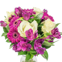 I arranged this bouquet aiming for a friendly balance of refinement and exuberance - a composition you might spot in a Stanmore sitting room on a sunny morning. Large magenta Gerbera daisies headline the design with their open, radiant faces and densely packed petals, each one seeming to radiate warmth and positivity. Interspersed throughout are creamy white roses, their layered petals unfurling with classic, romantic shape that softens the Gerberas' boldness. Deep purple Alstroemeria threads through the bouquet, its speckled throats and trumpet-like forms adding a whisper of exotic detail and delicate movement. Glossy green foliage - some broad and structural, some narrow and arching - cradles the blooms and creates a lush, rounded profile that reads as both generous and carefully composed. A clear glass vase peeks at the bottom, hinting at the clean lines of a display that belongs on a mantelpiece or as a welcome centrepiece for a fête. In the morning light the ivory and magenta tones feel particularly fresh, like a breath of spring air carried from Stanmore Park to nearby High Street homes. As the florist arranging this piece at Flowers Stanmore, I imagined it as a go-to gift for birthdays, anniversaries, or simply brightening a neighbour's day - an arrangement that communicates affection, cheer, and thoughtful design. The visual contrast and scent are inviting without overpowering, making it suitable for a family gathering or a quiet, heartfelt delivery across Stanmore and surrounding streets.