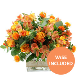 A richly coloured floral arrangement in warm orange and yellow tones is shown front and centre against a flawless white background, its glow reminiscent of sunset light settling over Stanmore's leafy residential streets. At the heart of the bouquet are several prominent orange roses, their petals unfolding in generous, velvety whorls that subtly transition to softer yellow hues towards the middle in some blooms, giving a naturally blended, almost hand-tinted effect. Interspersed with them are bright yellow garden roses, their tightly packed petals forming perfect, rounded blooms that convey a feeling of refined elegance. Weaving gently through the roses are clusters of peach and light orange alstroemeria, or Peruvian lilies, recognisable by their slender, tapering petals delicately marked with fine speckles and stripes, bringing a sense of lightness and intricate detail. Dotting the arrangement at various heights are small, spherical orange flowers with a spiky, thistle-like texture, reminiscent of safflower heads, which add playful structure and a modern twist to the otherwise classic composition. A generous collar of greenery surrounds the flowers: broad, silvery-green eucalyptus leaves create soft arcs around the bouquet, while deeper green filler foliage provides a rich, contrasting backdrop that makes the warm colours stand out even more vividly. All of this is anchored in a clear, square glass vase, whose transparent sides showcase the stems and clean water inside, emphasising freshness and neat craftsmanship in a way that would sit beautifully on a Stanmore dining table or office reception. Around the centre of the vase, a neatly wrapped band of natural burlap or jute adds a rustic, tactile accent that tempers the clean lines of the glass. In the bottom right corner, a bright circular orange emblem with bold white capital letters states VASE INCLUDED, clearly indicating that this joyful arrangement is supplied exactly as seen, ready for immediate display as a thoughtful gift or cheerful home accent.