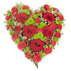 In this carefully lit studio photograph, a heart-shaped floral arrangement stands out vividly against a pure white background, emphasising its rich colours and textures. The entire heart is densely filled, giving it a plush, almost pillow-like appearance. Six large, deep red roses are placed with precision across the design, their delicately layered petals unfolding from tight spirals into open, cup-shaped blooms. These roses serve as emotional touchpoints, symbolising love and devotion. Nestled closely around them, ruffled red carnations form a continuous field of colour, each smaller bloom contributing to the lush, velvety surface that defines the heart's curves. Adding contrast and visual interest, clusters of lime-green button chrysanthemums are interwoven throughout. Their small, rounded heads and fine texture catch the eye, brightening the composition and hinting at renewal and peace-an especially comforting message for families gathering in Stanmore for a farewell. Along the perimeter of the heart, sprigs of variegated foliage, green with creamy white edges, create a soft border that accentuates the shape while keeping the look natural and organic. At the very tip of the heart, a few slender fern fronds extend gently outward, adding a light, airy finish. The craftsmanship suggests the work of an experienced local florist familiar with funeral and sympathy designs often delivered to services around Stanmore, Belmont, or nearby Edgware. This floral heart radiates quiet strength and heartfelt condolence, a thoughtful way to honour someone's memory and share a final message of love and gratitude.