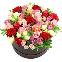 In the image, a luxurious floral hat box brimming with roses sits isolated against a bright white backdrop, every edge and petal clearly defined. The container is a stylish, matte black round box, encircled at the base by a narrow red trim that subtly hints at celebration and elegance. Rising from its open top is a rich, domed mass of roses, so densely arranged that no stems or foam are visible, only an unbroken field of colour and texture. The most striking tones are the deep crimson and scarlet red roses, their velvety petals layered in tight spirals and soft curls, reminiscent of classic romantic bouquets often gifted around Stanmore station or Canons Park. Threaded among these are gentle blush pink roses, bolder fuchsia blooms, and warm peach and apricot shades that add depth and warmth. Creamy white and ivory blossoms are scattered like soft highlights, catching the light and giving the arrangement a luminous, three-dimensional quality. Cool lavender and muted purple roses are nestled here and there, balancing the warmer tones and lending a sophisticated, slightly whimsical feel. Some roses are fully open, their centres visible and complex, while smaller, bud-like blooms nestle between them, creating visual rhythm and a sense of unfolding beauty. Wisps of greenery, likely eucalyptus or similar foliage, peek out between clusters of petals, breaking up the colours and adding a hint of natural movement. The arrangement appears meticulously constructed by an experienced florist in Stanmore, ideal as an opulent gift for a milestone birthday, anniversary dinner near Bentley Priory, or a special thank-you delivered to a home off Marsh Lane.
