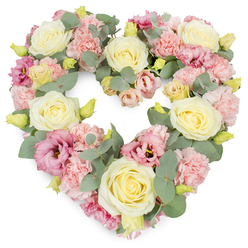 A pastel heart-shaped floral tribute fills the image, set against a pure white background that accentuates every soft tone and graceful curve, much like a display one might see in a Stanmore florist's window before a service. The heart is completely covered with flowers, creating a dense, sumptuous effect that feels both comforting and carefully composed. Cream and pale yellow roses, with their tightly layered petals and gently rounded heads, are spaced harmoniously around the wreath, giving the design rhythm and balance. Between these focal blooms, ruffled light pink carnations crowd together, their textured petals overlapping to form a plush, almost quilt-like surface. Threaded through this softness are richer magenta-pink and mauve lisianthus blossoms, their more open, fluted petals and occasional darker centres adding complexity and emotional depth, like small accents of memory within the gentler hues. Silvery eucalyptus leaves thread in and out of the flowers, the cool, muted green of their smooth, rounded foliage outlining the heart and lending a quiet, woodland calm. Small yellow-green buds appear here and there, signalling freshness and the care taken in choosing every stem. The whole arrangement suggests tenderness and respect, ideal for a funeral, memorial, or celebration-of-life ceremony in Stanmore, whether at a local church or crematorium. The atmosphere conveyed is one of peace, remembrance, and an enduring bond, as if the flowers themselves are offering a soft-spoken message of love and support to those who are mourning. 