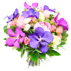 Captured on a clean white background, this luxurious bouquet appears like a burst of garden splendour carefully gathered by an expert florist near Stanmore's quiet residential lanes. At its centre, generous pink peonies are fully open, each bloom a soft dome of densely layered petals that speak of romance and thoughtful indulgence. Interlaced with these are dramatic Vanda orchids in saturated shades of violet and fuchsia magenta, their broad petals displaying intricate veining and speckled patterns that feel almost hand-painted, bringing a touch of exotic sophistication. Surrounding the focal blooms, clusters of spray roses in blush pink, peachy apricot, and creamy white fill the spaces, some as tight buds, others partway open, adding a narrative of flowers in different stages of bloom. Tiny white filler flowers, likely delicate chrysanthemums or asters, pop up between them, creating delicate points of contrast and movement. A collar of lush green foliage frames the entire arrangement, the glossy leaves and subtler, more textured greens reminiscent of the well-kept gardens that characterise many Stanmore streets. The stems are neatly gathered at the bottom and secured with a tasteful purple ribbon and light mesh wrap, signalling a bouquet designed with care and professional attention to detail. The overall atmosphere is one of polished elegance and quiet celebration, ideal for a romantic gesture, a sophisticated birthday surprise, or a thank-you gift delivered to homes around Stanmore, from properties near Stanmore Station to the leafy avenues leading towards Canons Park. The bouquet feels both indulgent and welcoming, as if inviting the recipient to pause, breathe in the imagined fragrance, and savour a moment of beauty.