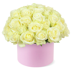 An opulent cluster of roses rises from a blush-pink hat box, forming a perfectly rounded dome of creamy white and pale ivory blooms, reminiscent of the calm, elegant homes tucked around Stanmore Common. Each rose is tightly nestled against its neighbours, creating a seamless blanket of petals that curves smoothly from the centre of the bouquet down to the edge of the box. The roses show delicate variations in tone-some nearly pure ivory, others with a soft wash of pastel yellow at their hearts-giving the arrangement a subtle, luminous depth. The petals appear velvety and cool, gently curling back in well-formed spirals that suggest both romance and meticulous care in their selection. Around the base of the dome, discreet touches of green foliage peek through, like shy leaves at the edge of a well-tended garden bed, adding just enough contrast to reveal the natural structure beneath the abundance. The round hat box, with its matte pastel pink finish, feels contemporary yet timeless, similar to a treasured keepsake box you might display on a sideboard in a Stanmore townhouse after the flowers have faded. Its soft hue perfectly complements the understated luxury of the roses. Against a brilliant white background, every petal edge and tonal shift is accentuated, making the arrangement appear fresh, airy, and serenely beautiful. This image captures the spirit of a meaningful celebration-ideal for anniversaries, romantic surprises, or refined gift deliveries throughout Stanmore, where elegance and sentiment often go hand in hand.