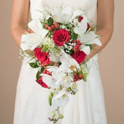Delicately held against the bride's shimmering white gown, this statement bouquet radiates celebration and refined elegance-perfect for Stanmore's grandest wedding receptions or intimate gatherings near Bentley Priory. Large, flawless white lilies serve as the luminous heart of the arrangement, each petal curving open to reveal showy stamens, filling the air with a sweet, heady fragrance. Nestled among the lilies are velvet-rich red roses, whose tightly furled petals add a passionate, classic touch found in the finest florists around Stanmore. Sweeping downwards, cascades of graceful white phalaenopsis orchids bring movement, their subtle yellow throats lighting up the bouquet's gentle fall. Ethereal sprigs of white baby's breath hover between the bolder blossoms, softening the bold colour contrast, while clusters of tiny red berries evoke the freshness and festive spirit of local Stanmore markets. Airy green fern fronds and well-placed deep green leaves create a lush support, reminding one of the verdant expanses that characterise this North West London suburb. All the floral beauty is set against a warm, neutral background that amplifies every detail. This bouquet, with its carefully curated balance of colour, scent, and rhythm, speaks to moments of love and joy, marking life's special milestones in Stanmore with grace and artistry.