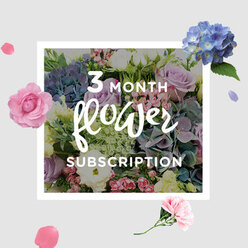 In the photograph, a delicate, pastel bouquet from a three-month subscription is displayed as though just placed in a bright sitting room in Stanmore, perhaps after a stroll around Canons Park. At the heart of the design, substantial heads of blue hydrangea provide a soft, billowing base, their tiny individual petals forming a textured mosaic of pale and mid-toned blues. Cradled within and around these are roses in shades of pale pink and smoky lilac, their petals velvety and slightly curled, creating a sense of depth and invitation. Slender stems of lisianthus lift the eye, their ruffled, light blooms and neat buds introducing a sense of gentle movement, as if the flowers are quietly breathing. A border of fresh greenery frames the composition, with leaves in varying shapes and greens that echo the manicured yet natural feel of Stanmore's tree-lined roads. The light in the scene is soft and diffuse, suggesting a large window nearby; it skims the tops of the flowers, highlighting the cool blues and warm blush tones, and gently shadowing the folds of each petal. The bouquet carries an air of calm elegance, suitable for a dining table, hallway console, or bedroom sideboard in a Stanmore home. It evokes the feeling of pausing in the middle of a busy week to notice something beautiful and alive. As a subscription piece, the image hints at the reassuring rhythm of fresh deliveries: each month will bring a new, seasonally tuned arrangement in this soothing vein, weaving cool hydrangeas, romantic roses, and airy lisianthus into an ongoing, quietly luxurious presence in your space.