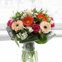 A contemporary bouquet, artfully arranged in a sleek clear vase, radiates inviting energy and modern elegance-a true reflection of the colourful artistry found at Flowers Stanmore. At its centre, orange and peach gerbera daisies exude playful charm, each petal bathed in gentle daylight that filters softly from the background, much like the sun over Stanmore Country Park. Deep magenta roses spiral tightly, their contrasts lending depth and richness to the overall display. Sprigs of pristine white alstroemeria and delicate spray roses are woven throughout, their multi-petaled forms introducing light and subtlety, like morning mist over the rooftops of Gordon Avenue. The arrangement is framed by folded, glossy aspidistra leaves, their structural curves adding both visual strength and texture while cradling the blooms. Slender pointed greenery and fine sprigs fill in the gaps, providing fresh notes of local hedgerow. Stems, neatly clustered and visible through the glass, signal the arrangement's garden-fresh quality and professional care. Gentle, luminous light envelops the bouquet, highlighting every hue and shape and evoking a sense of celebration-perfect for brightening a Stanmore home or marking a meaningful milestone with floral artistry.