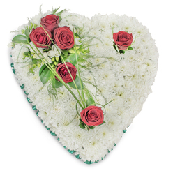 A lovingly composed heart-shaped memorial wreath built on a plush bed of countless white chrysanthemum blooms, the tiny petals arranged to form a seamless, cushion-like surface that suggests purity and quiet solace. On the upper left a concentrated cluster of three deep red roses gathers together among rich, glossy foliage and delicate ferny greens, while graceful arcs of narrow bear grass extend like soft calligraphy, guiding the eye inward. Two more single red roses balance the design-one tucked close to the heart's right curve and the other placed thoughtfully at the lower point-each accompanied by minimal green accents so their colour reads as a clear, reverent punctuation against the white field. The entire heart is outlined with a slim emerald-green satin ribbon that catches the light and frames the composition with understated formality. There's a sense of tactile care here: the chrysanthemums' downy texture, the roses' satiny petals, the faint fragrance of rose mingling with green, and the cool satiny ribbon underhand. Gentle overhead illumination sculpts soft shadows into the surface, revealing the depth of the cushion and the precision of each placement. This design is intended for sympathy and remembrance, an elegant expression of love and respect at a funeral or memorial service. Locally prepared in Stanmore and familiar to families who gather near Stanmore Station or walk through Canons Park, it reflects the quiet craftsmanship of Flowers Stanmore and the community's preference for dignified, traditional tributes.